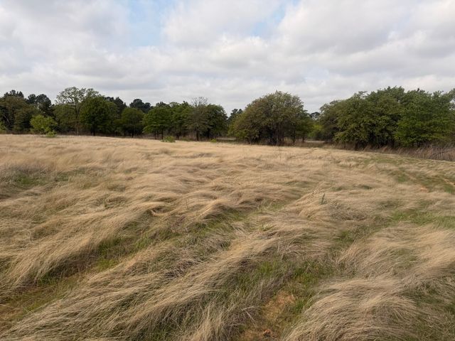 2548 County Road 2690, Alvord, TX 76225