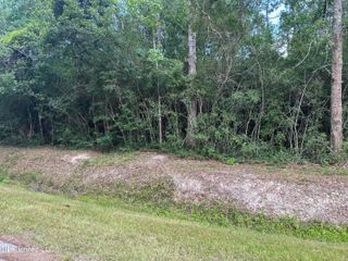Jacksonville Drive, Pearlington, MS 39572