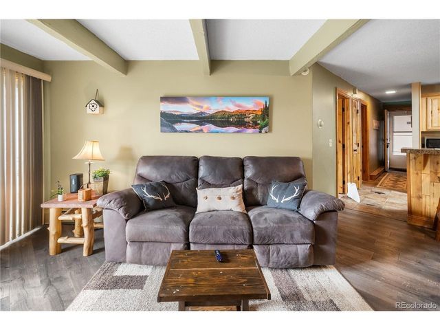 7222 Ryan Gulch Rd 202, Silverthorne, CO 80498