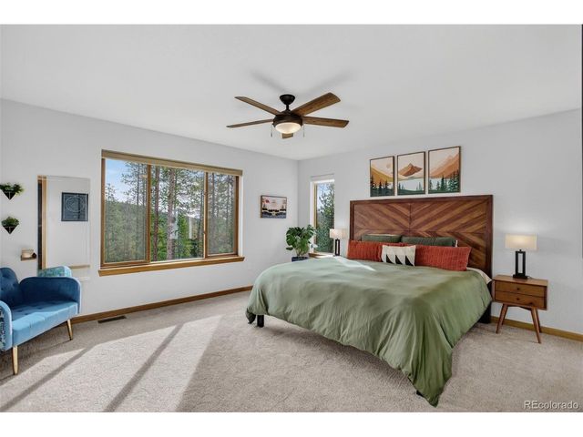 10972 Milliken Ave, Conifer, CO 80433