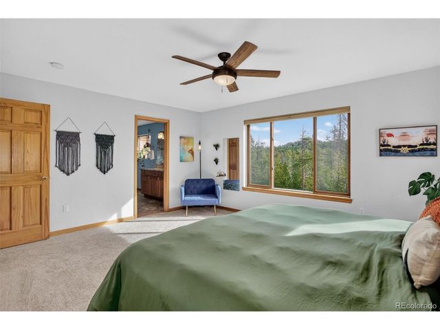 10972 Milliken Ave, Conifer, CO 80433