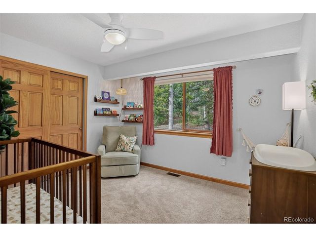 10972 Milliken Ave, Conifer, CO 80433