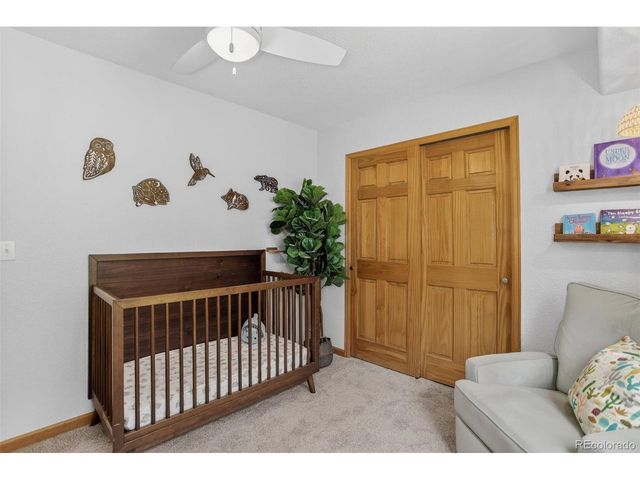 10972 Milliken Ave, Conifer, CO 80433