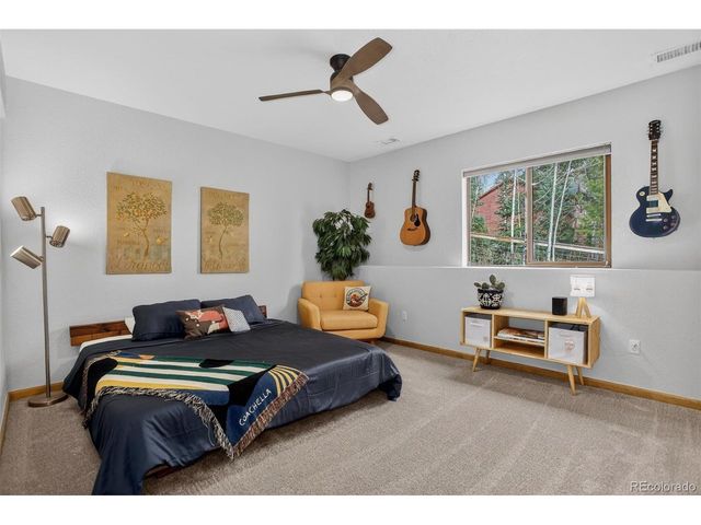 10972 Milliken Ave, Conifer, CO 80433