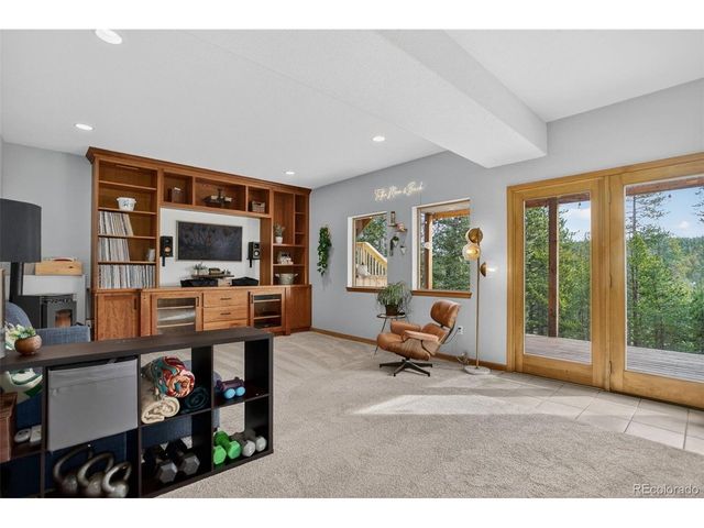 10972 Milliken Ave, Conifer, CO 80433