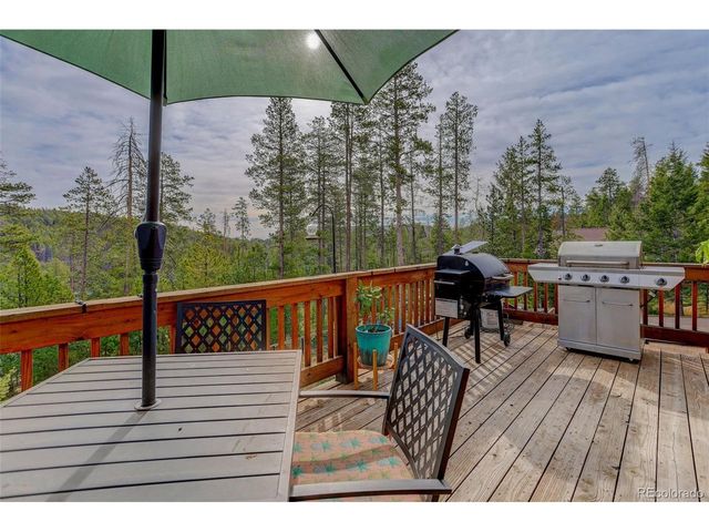 10972 Milliken Ave, Conifer, CO 80433