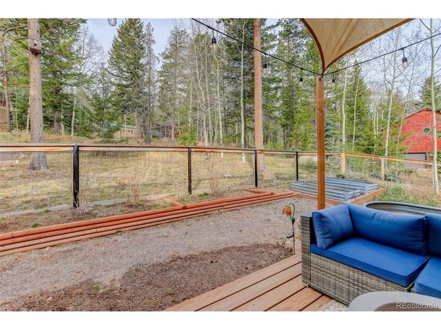 10972 Milliken Ave, Conifer, CO 80433