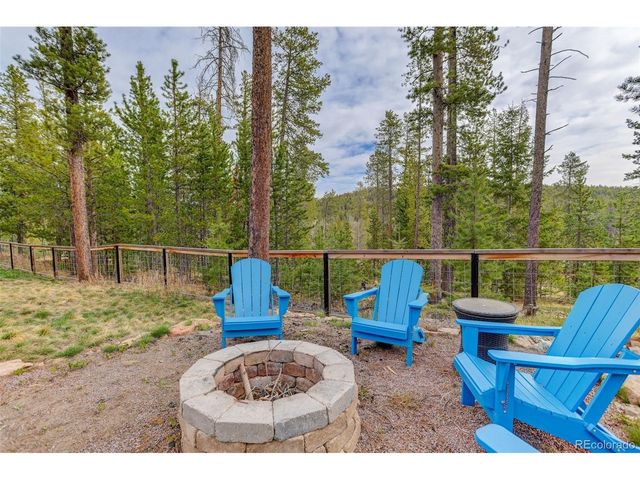 10972 Milliken Ave, Conifer, CO 80433