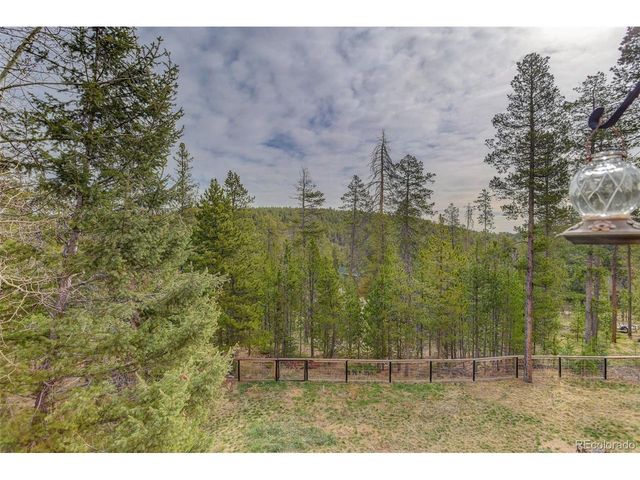 10972 Milliken Ave, Conifer, CO 80433