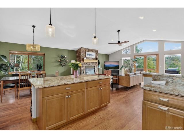 10972 Milliken Ave, Conifer, CO 80433