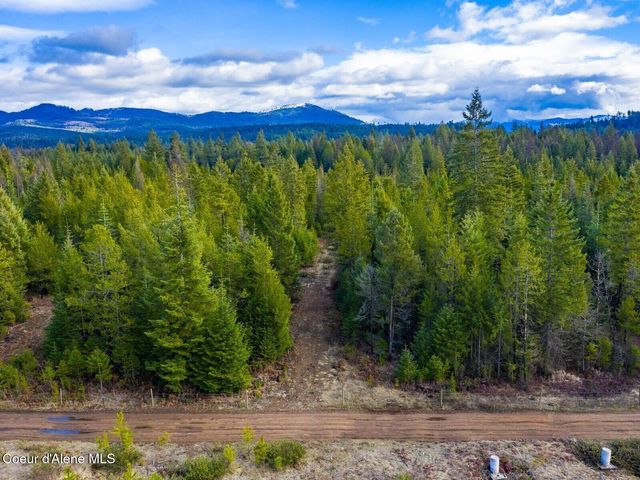 49 Zig Zag Way, Athol, ID 83801