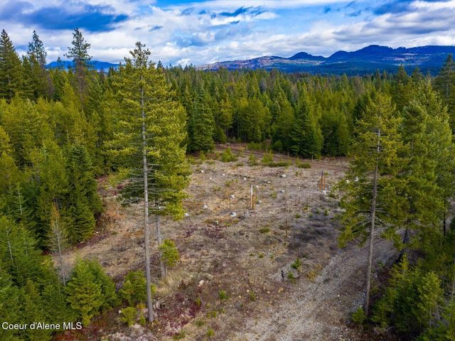 49 Zig Zag Way, Athol, ID 83801