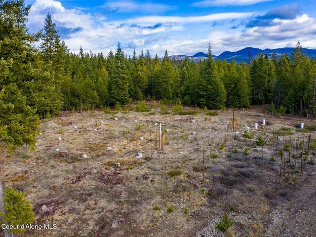 49 Zig Zag Way, Athol, ID 83801