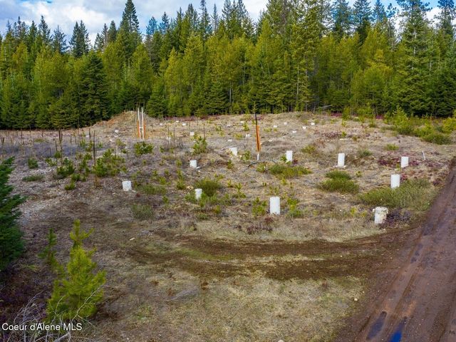 49 Zig Zag Way, Athol, ID 83801