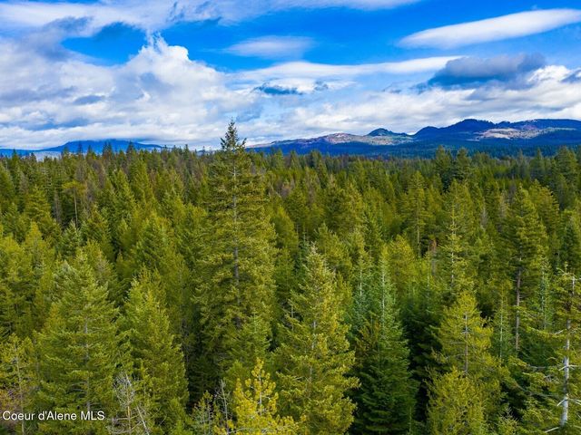 49 Zig Zag Way, Athol, ID 83801