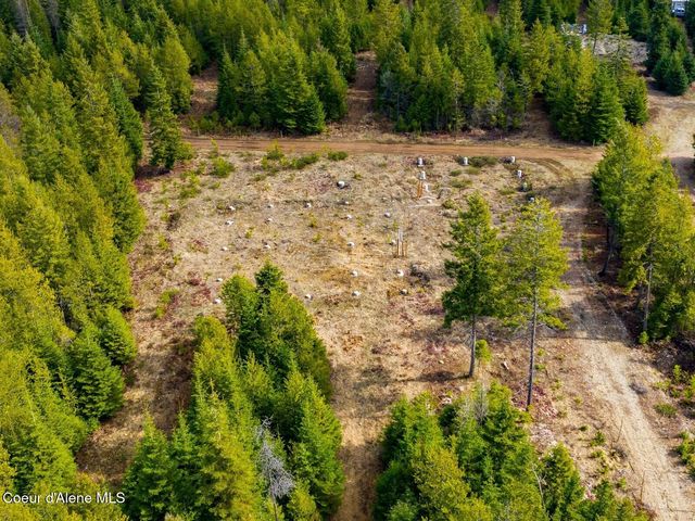 49 Zig Zag Way, Athol, ID 83801