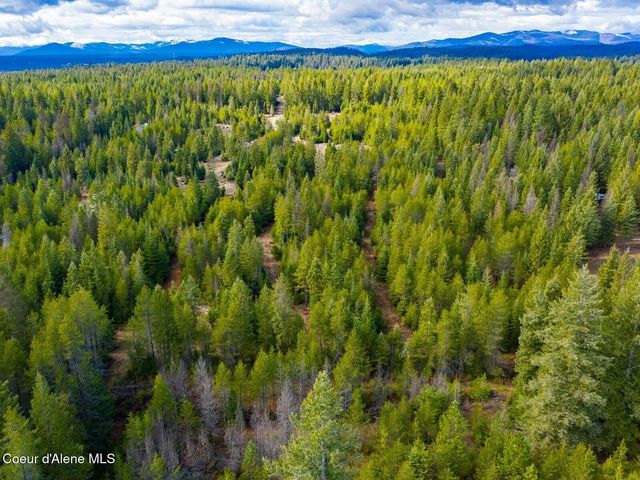 49 Zig Zag Way, Athol, ID 83801