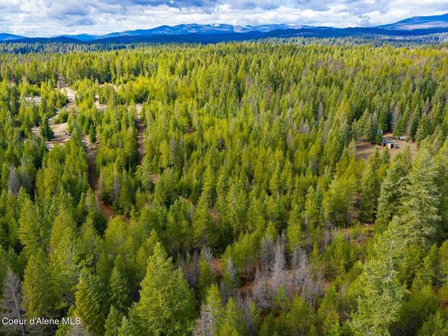 49 Zig Zag Way, Athol, ID 83801