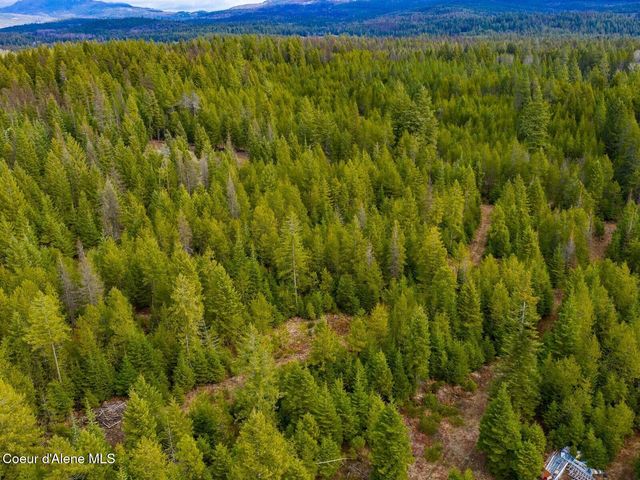 49 Zig Zag Way, Athol, ID 83801