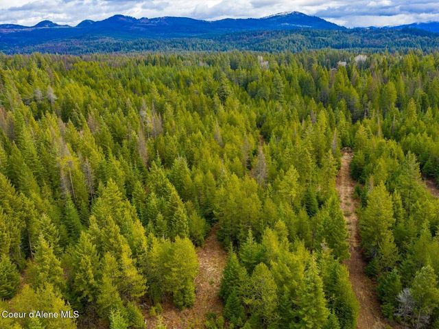 49 Zig Zag Way, Athol, ID 83801