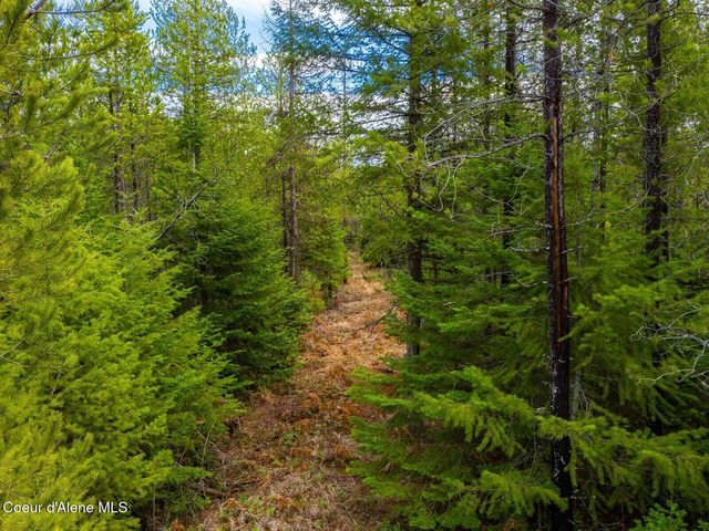 49 Zig Zag Way, Athol, ID 83801