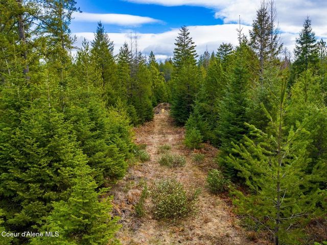 49 Zig Zag Way, Athol, ID 83801