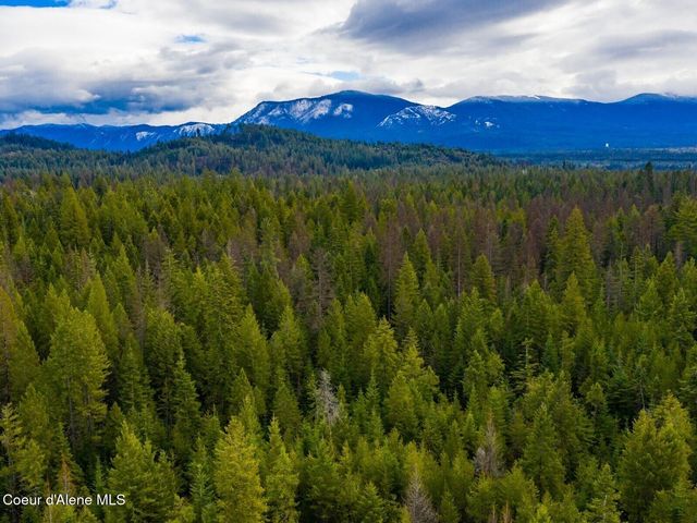 49 Zig Zag Way, Athol, ID 83801