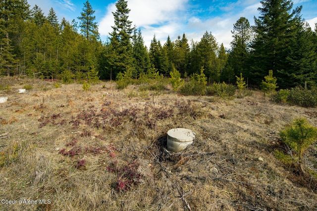 49 Zig Zag Way, Athol, ID 83801