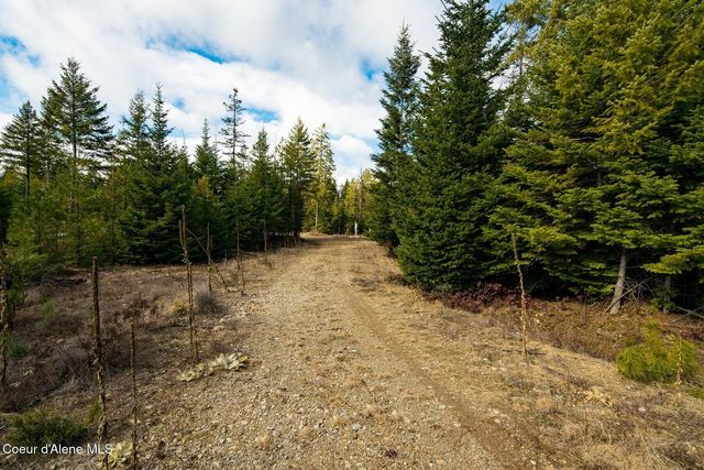 49 Zig Zag Way, Athol, ID 83801