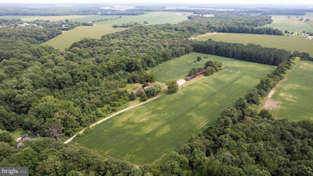 22109 TANYARD RD, Preston, MD 21655