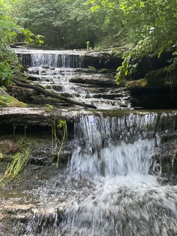 4160 Lexington Road, Harrodsburg, KY 40330