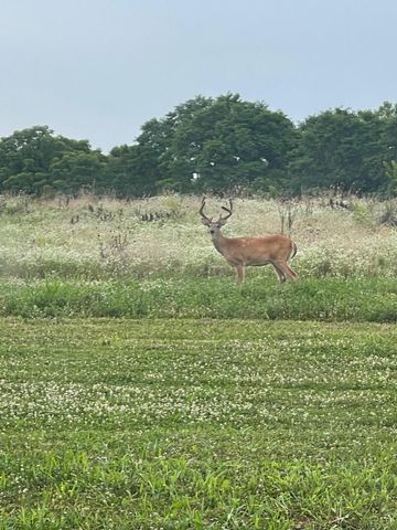 4160 Lexington Road, Harrodsburg, KY 40330