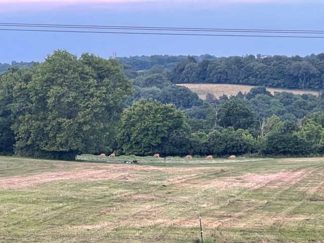 4160 Lexington Road, Harrodsburg, KY 40330