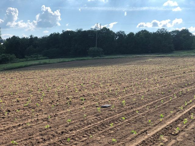 4160 Lexington Road, Harrodsburg, KY 40330