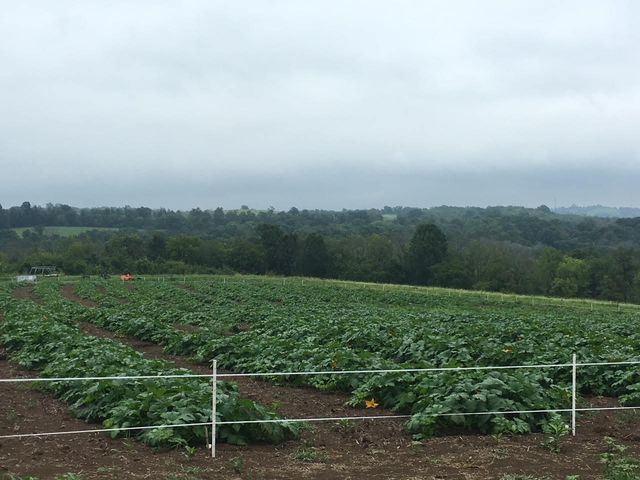 4160 Lexington Road, Harrodsburg, KY 40330