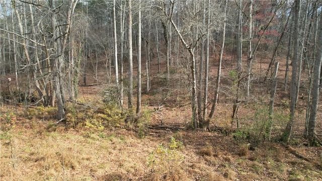 0000 Blackburn tract 3A Road, Dawsonville, GA 30534