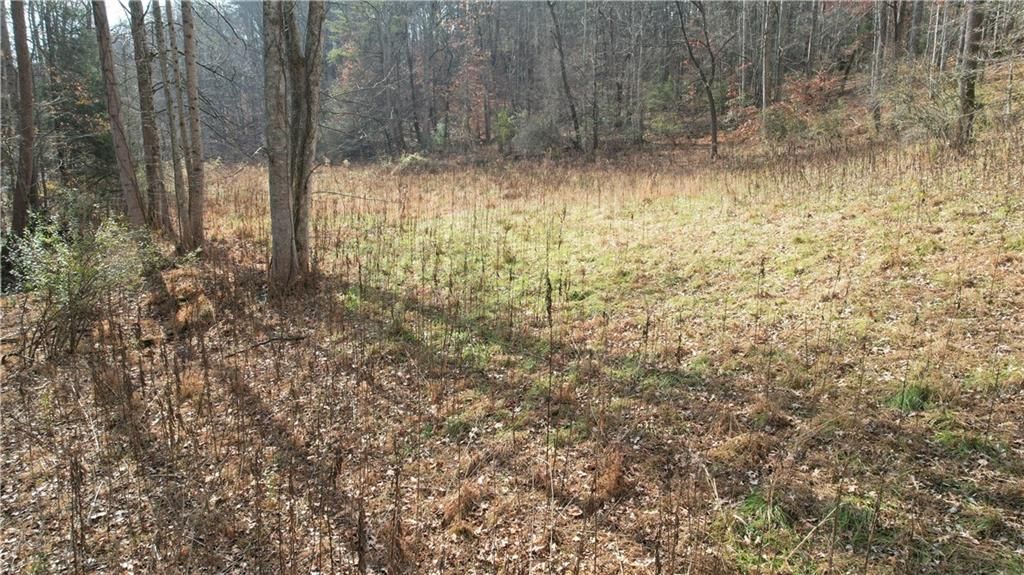 0000 Blackburn tract 3A Road, Dawsonville, GA 30534