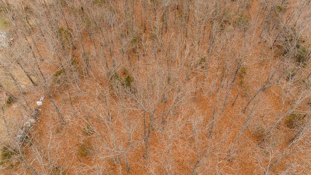 Lot 6 Sugar Tree Drive, Fordland, MO 65652