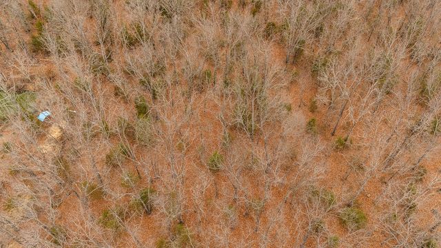 Lot 6 Sugar Tree Drive, Fordland, MO 65652