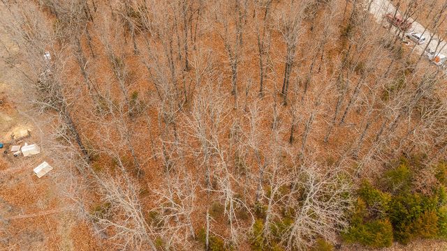 Lot 6 Sugar Tree Drive, Fordland, MO 65652