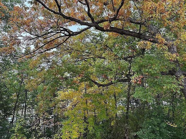 7783 Kingsview Lane N, Maple Grove, MN 55311