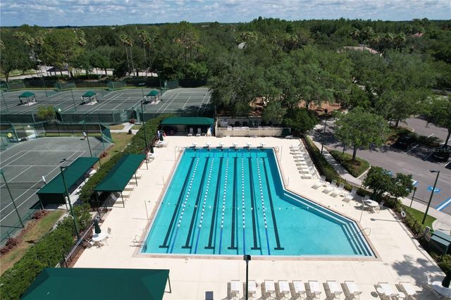 10144 ARBOR RUN DRIVE 31, Tampa, FL 33647