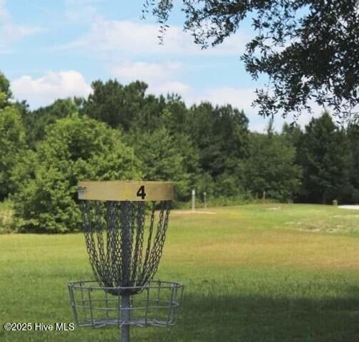 427 Driftwood Drive Lot 42, Richlands, NC 28574