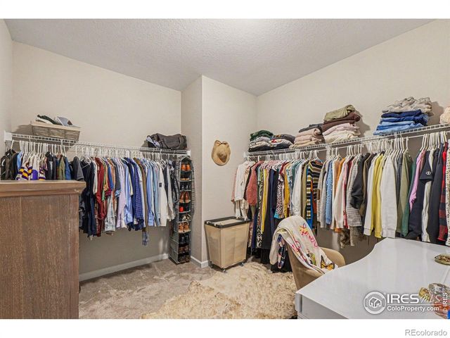 1626 Dancing Cattail Drive, Fort Collins, CO 80528