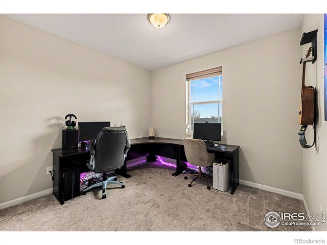 1626 Dancing Cattail Drive, Fort Collins, CO 80528