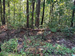 12444 JERRY DRIVE, Mccalla, AL 35111