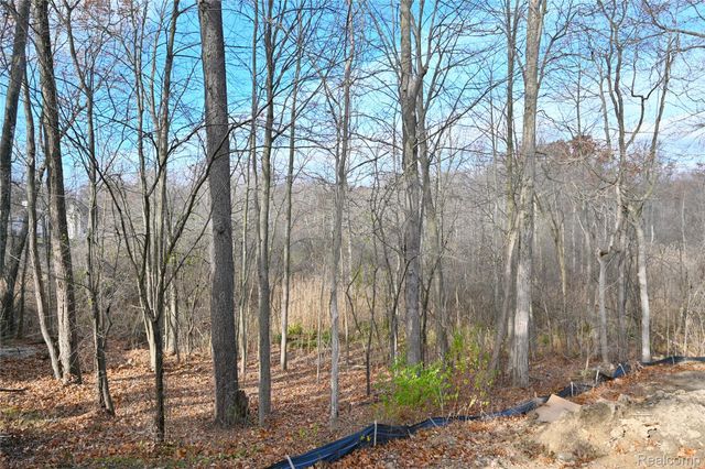 486 Green Hill Lane, Lake Orion Village, MI 48360