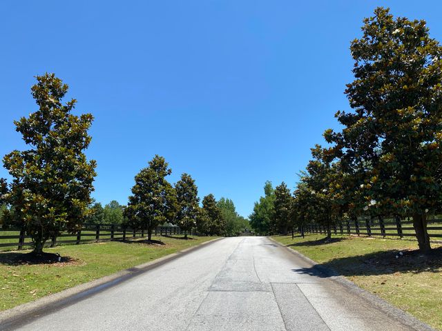 8290 Covert Drive, Aiken, SC 29803