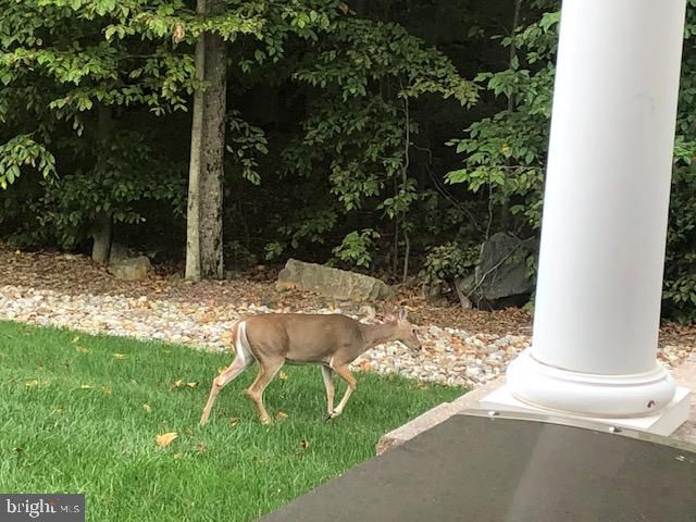 38 EDGEMERE DRIVE, Kendall Park, NJ 08824