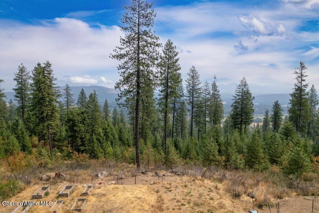 1802 Barnhart RD, Careywood, ID 83809 photo 3